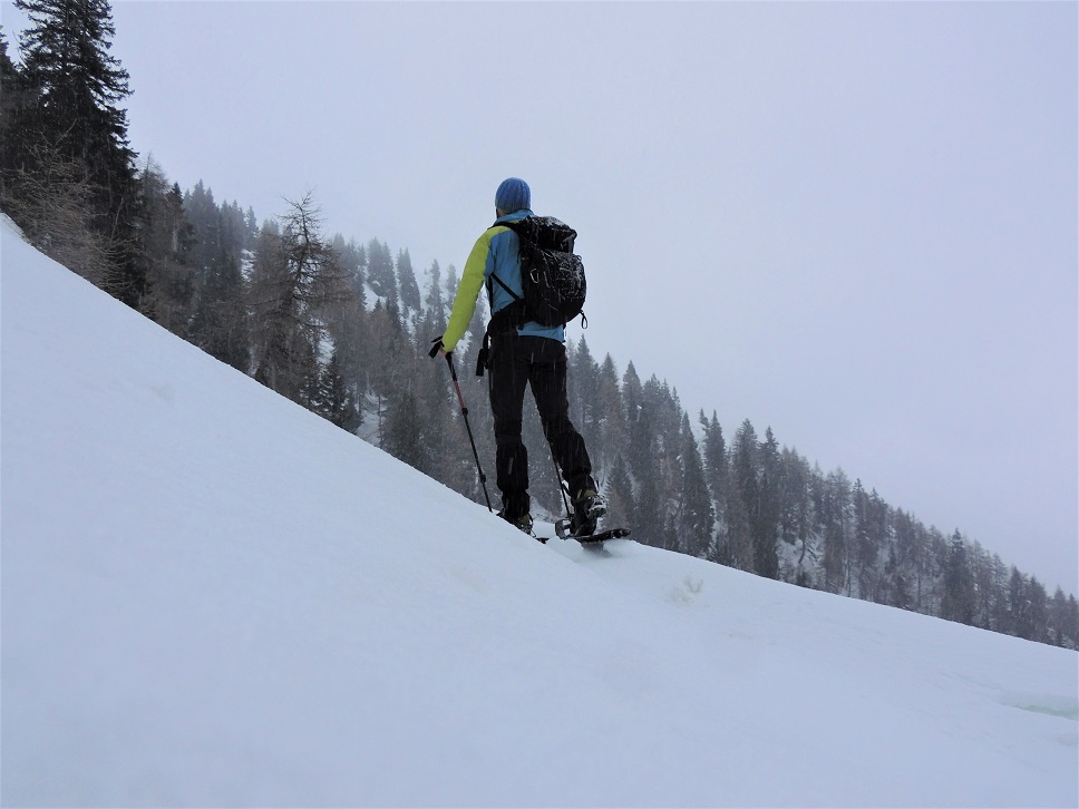 Ciaspolata Monte Maronia - Coston dei Laghi