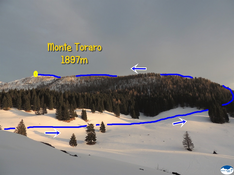 Monte Toraro