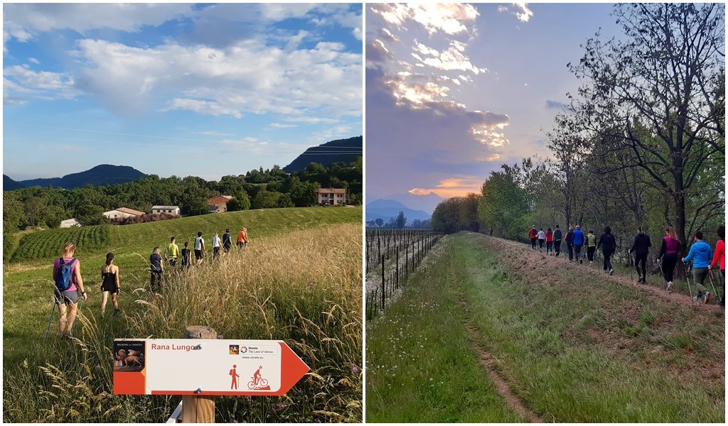 nordic walking 2022