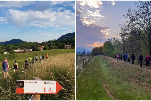 nordic walking 2022