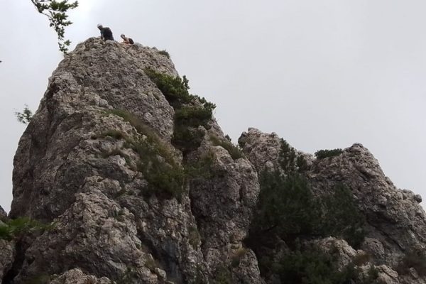 ULTIMO TIRO