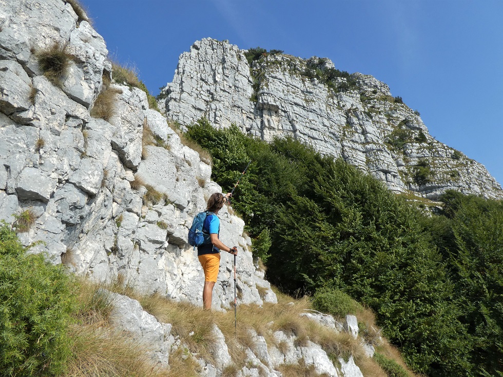 verso il Bassimante