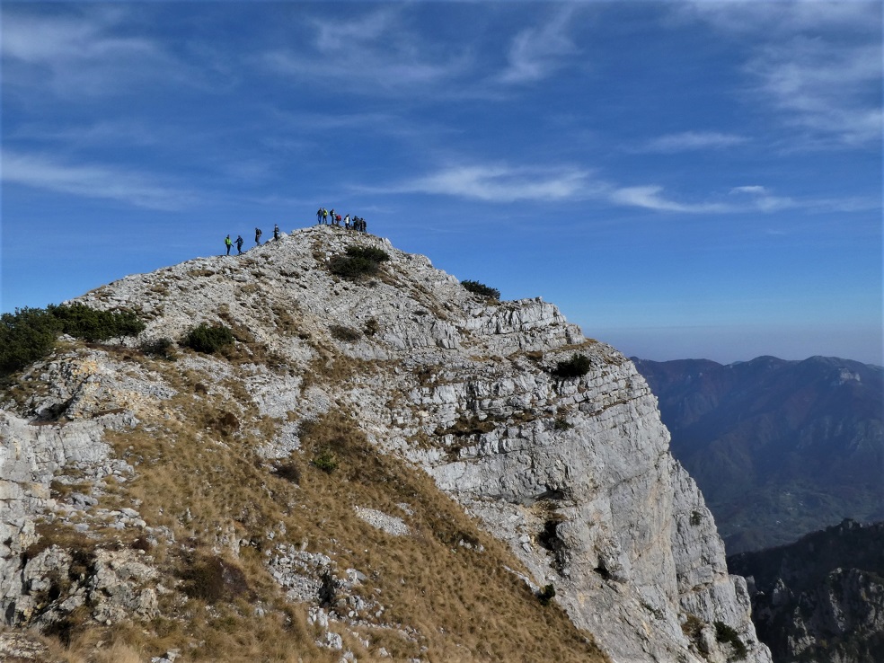 Escursioni del mercoledì