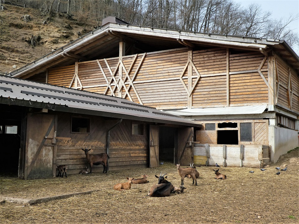 Azienda Agricola Grattanuvole