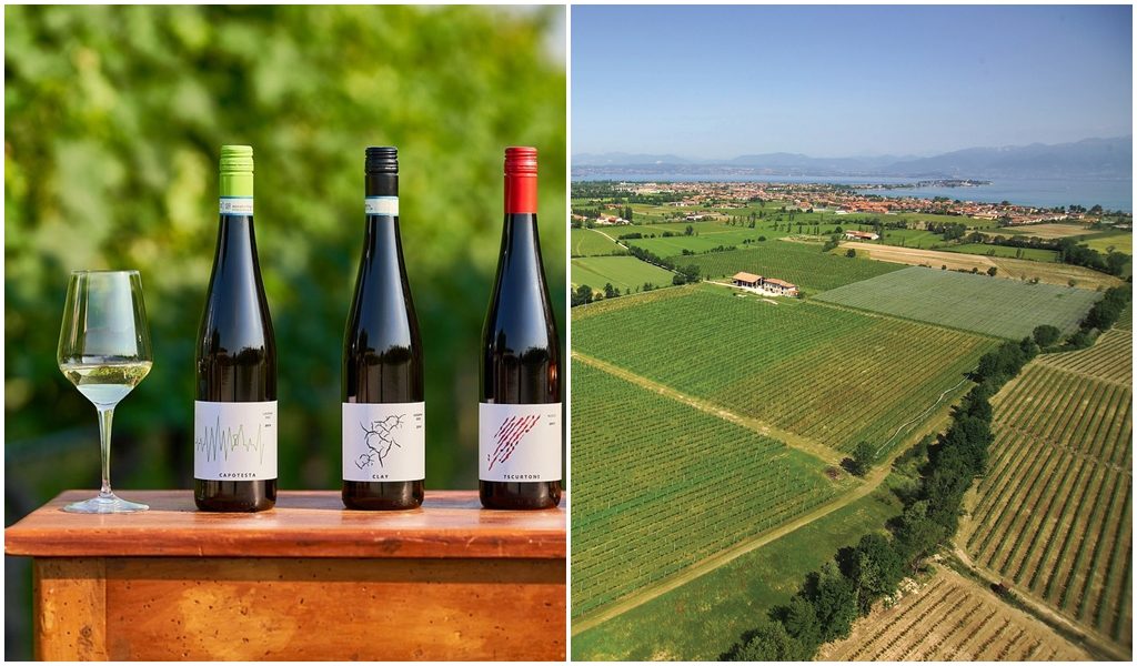 Cantine del Lugana