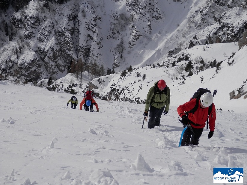 Boale d'inverno - Monte Pasubio