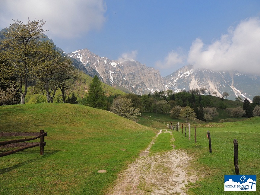 Sentiero dei Grandi Alberi