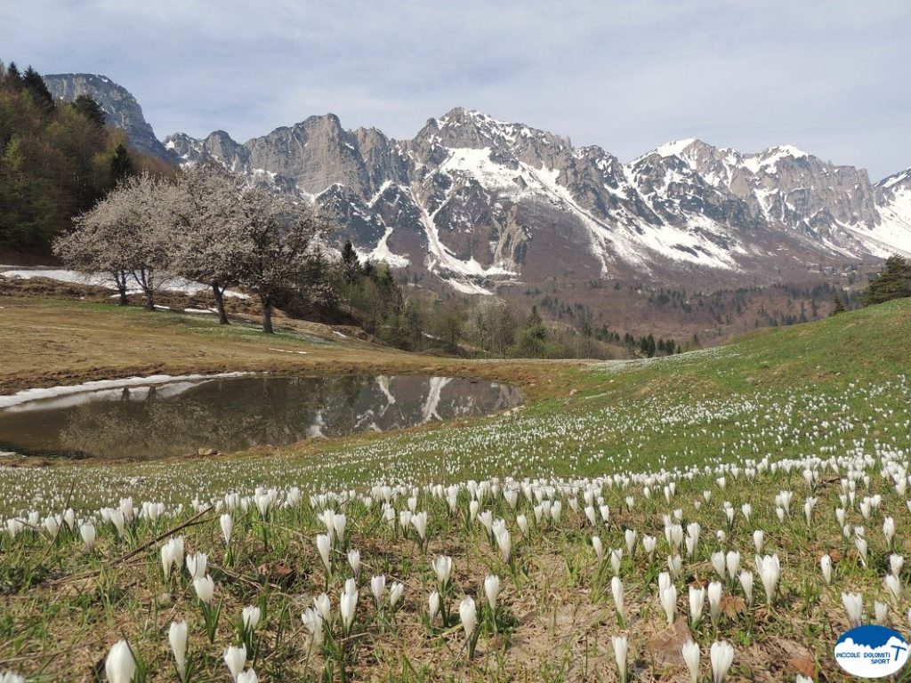 Altopiano delle Montagnole