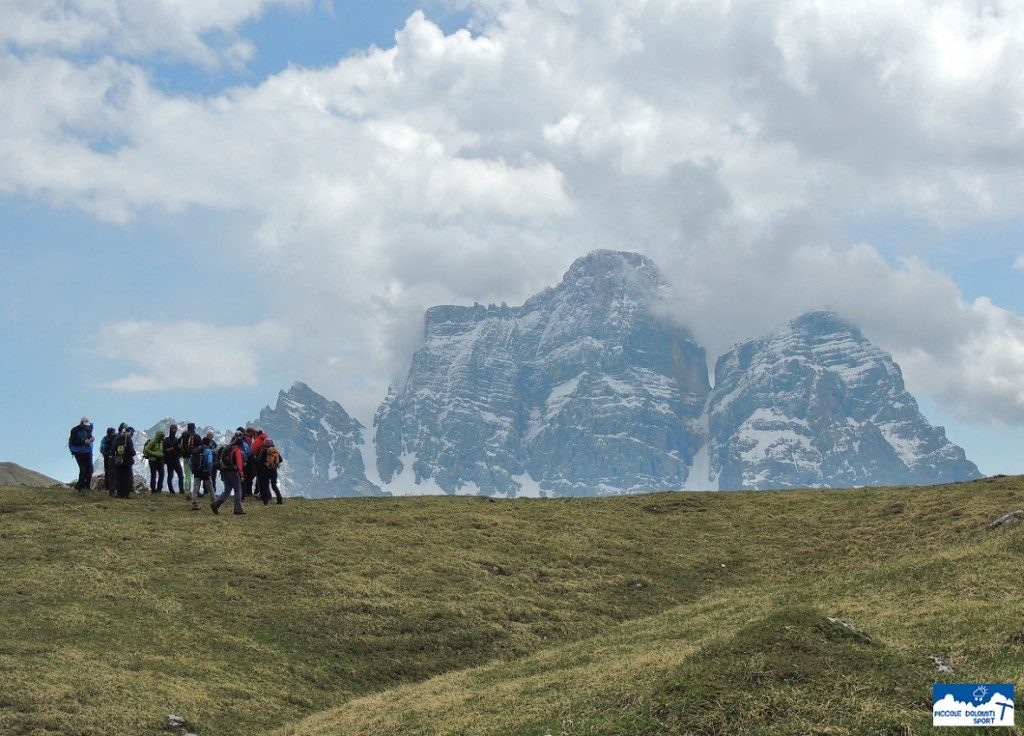 L'accompagnatore di media montagna