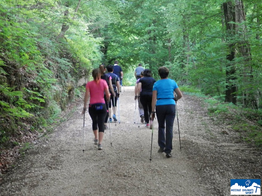 nordic walking