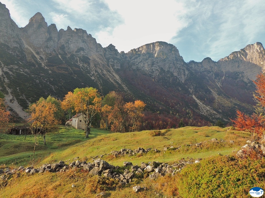 Sentiero Grandi Alberi