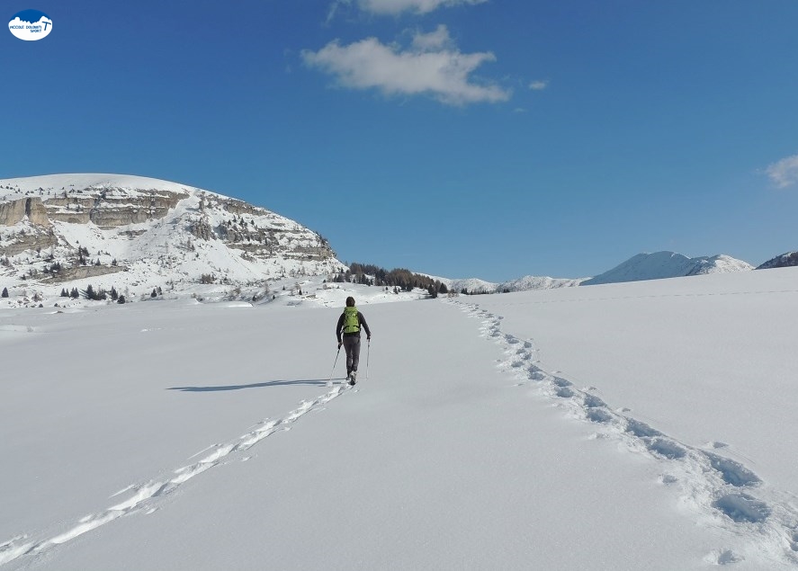 Ciaspolata Alpe Alba