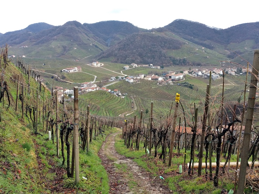 Colline del Prosecco