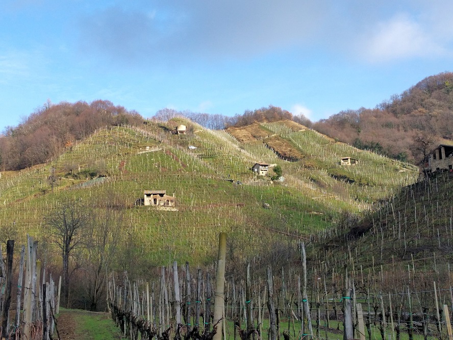 Colline del Prosecco