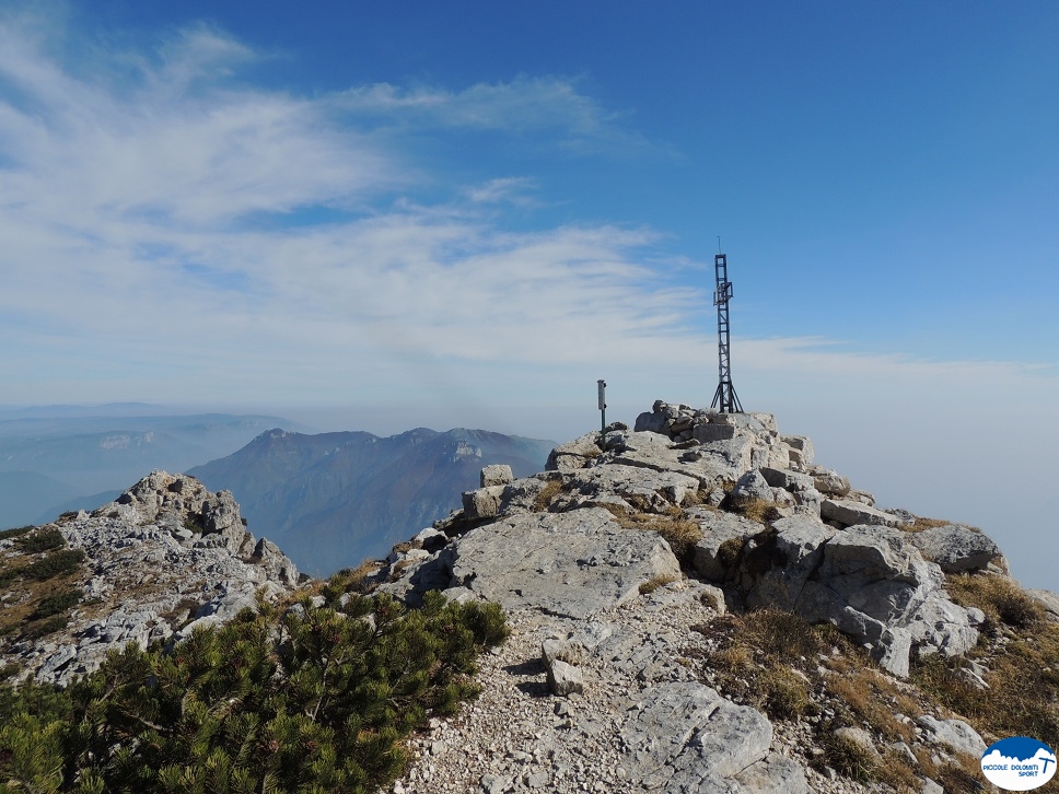 Cima dei Forni Alti