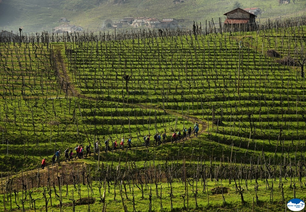 Trekking del prosecco