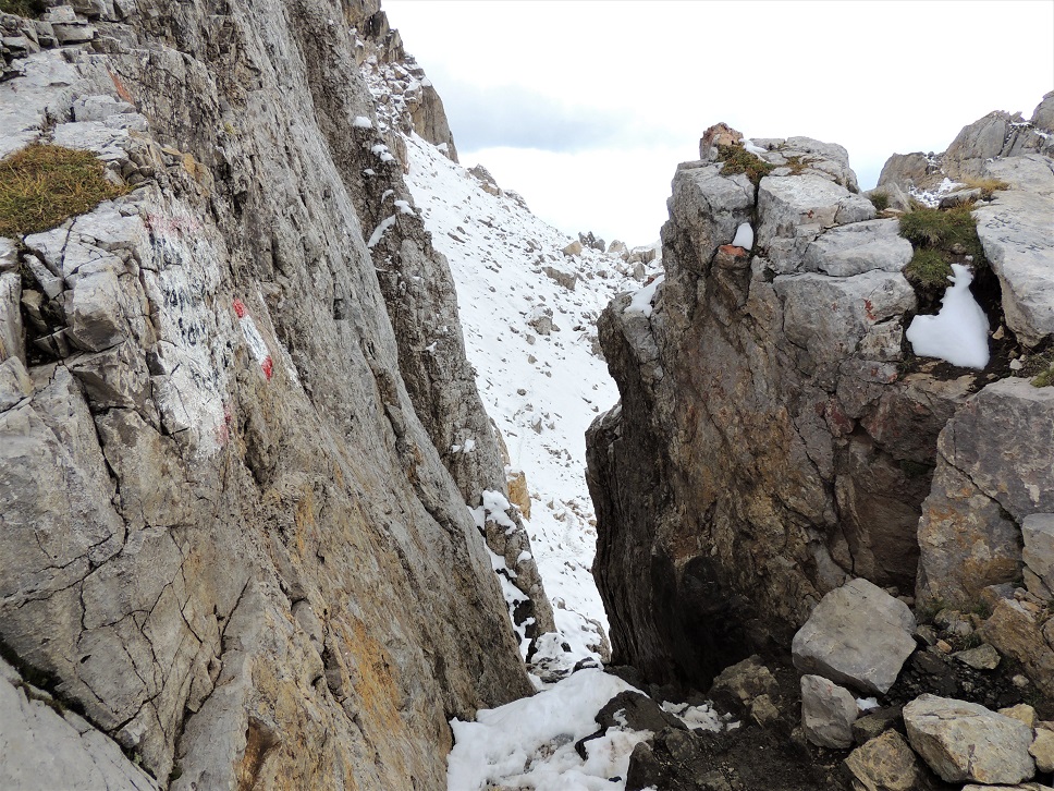 Forcella dei Camosci - Latemar