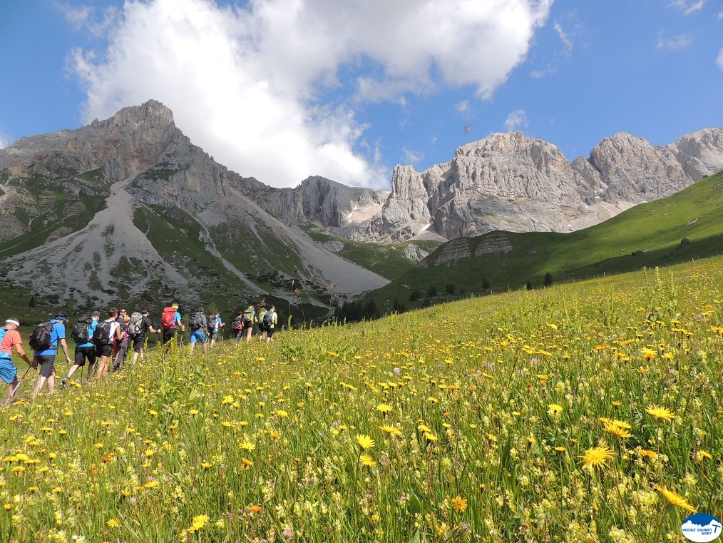 Dolomiti