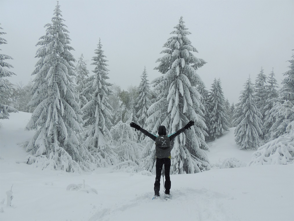 escursione sotto la neve