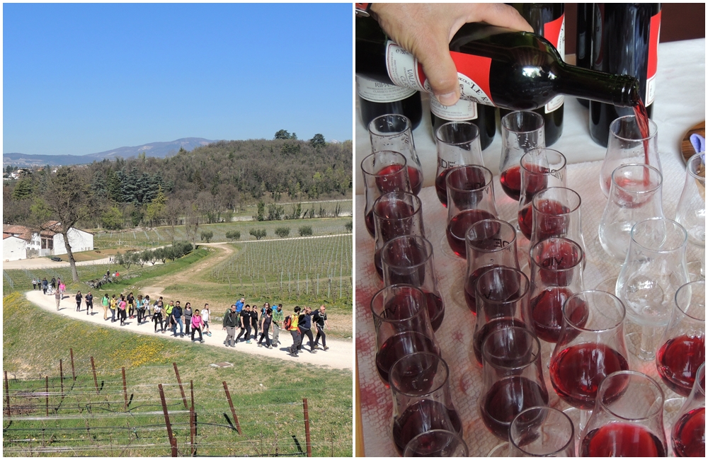 Trekking Valpolicella