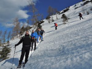 discesa dal Monte Toraro