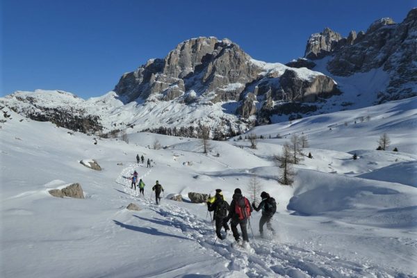 Pale di San Martino