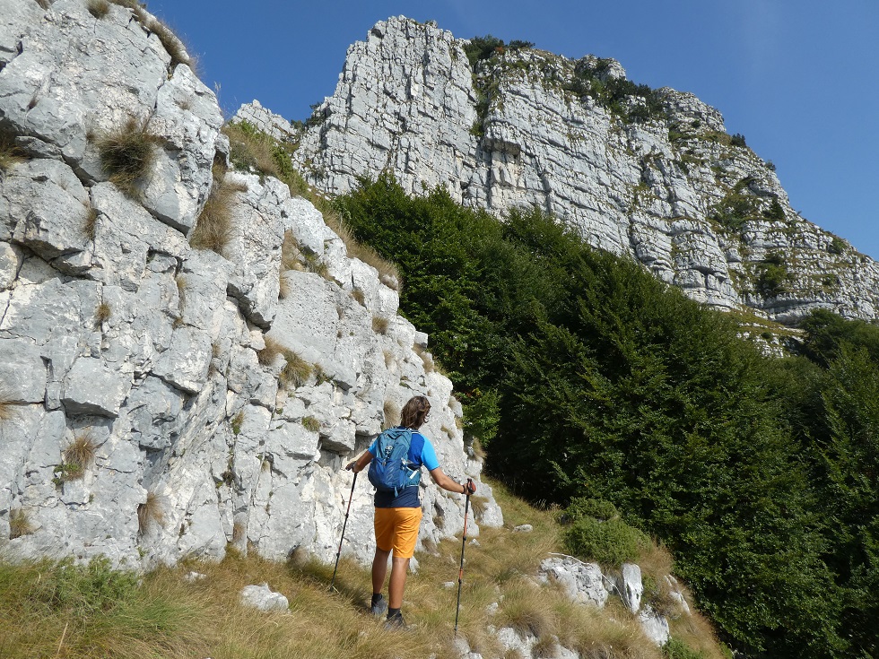 Verso il Bassimante