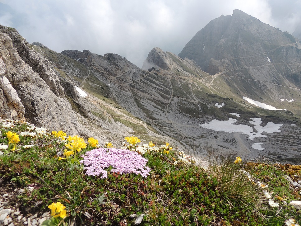 Piccole Dolomiti Sport Extreme