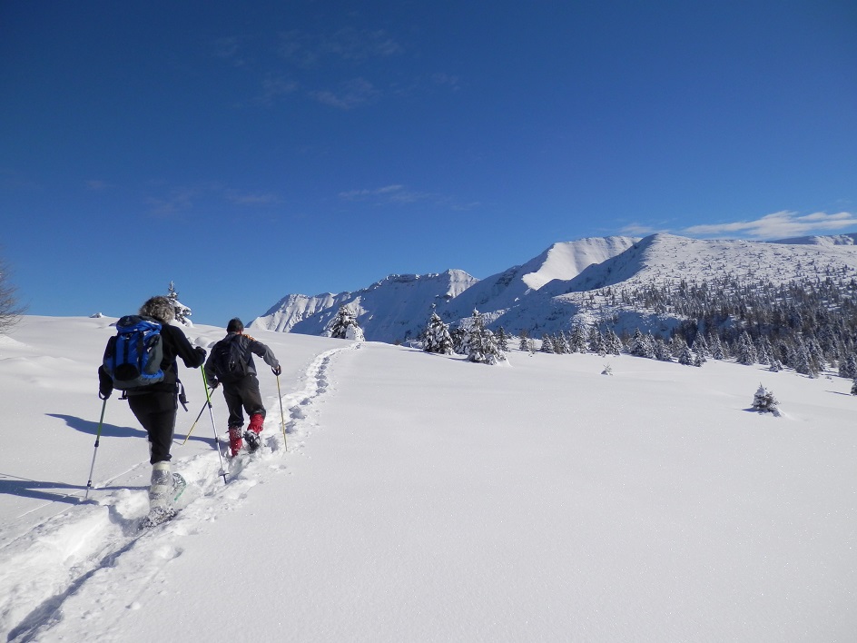 Ciaspolata Cima Laste