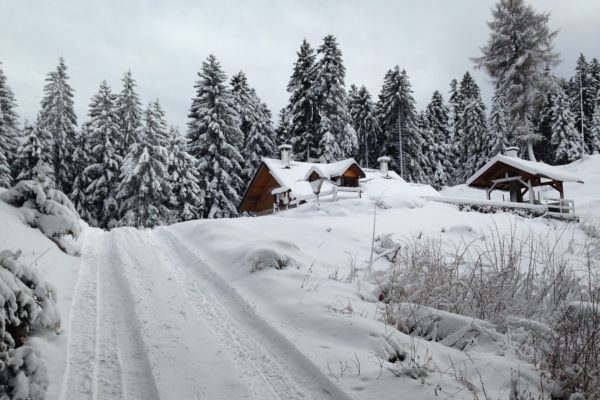 Ciaspolata Cimon di Lavarone