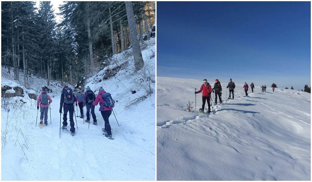 Ciaspolata in Valle Fredda