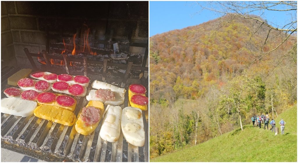 foliage in Val Leogra